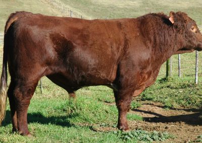 Duncraggan Uncle Ted 210