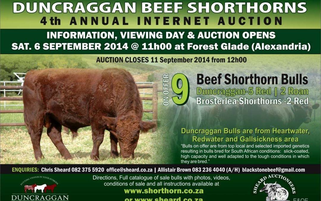 Our 2014 annual bull sale: 6 to 11 September
