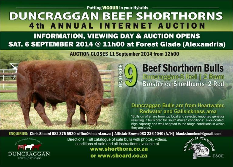 Duncraggan 2014 sale poster