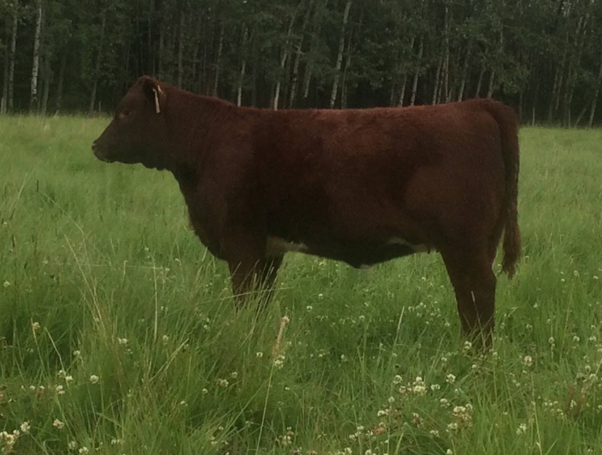 Stockman daughters daughter
