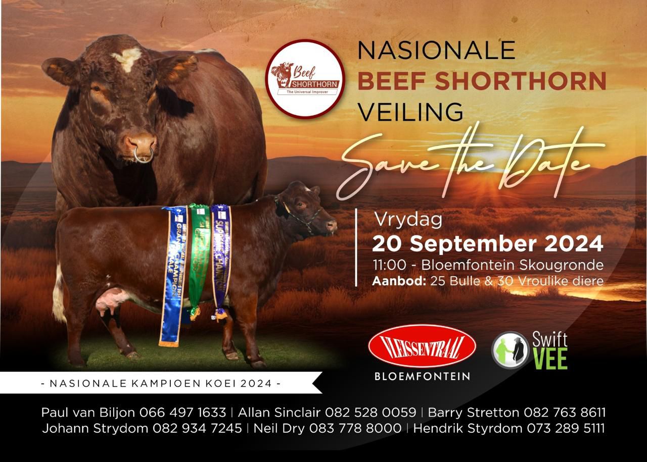 National Sale Poster