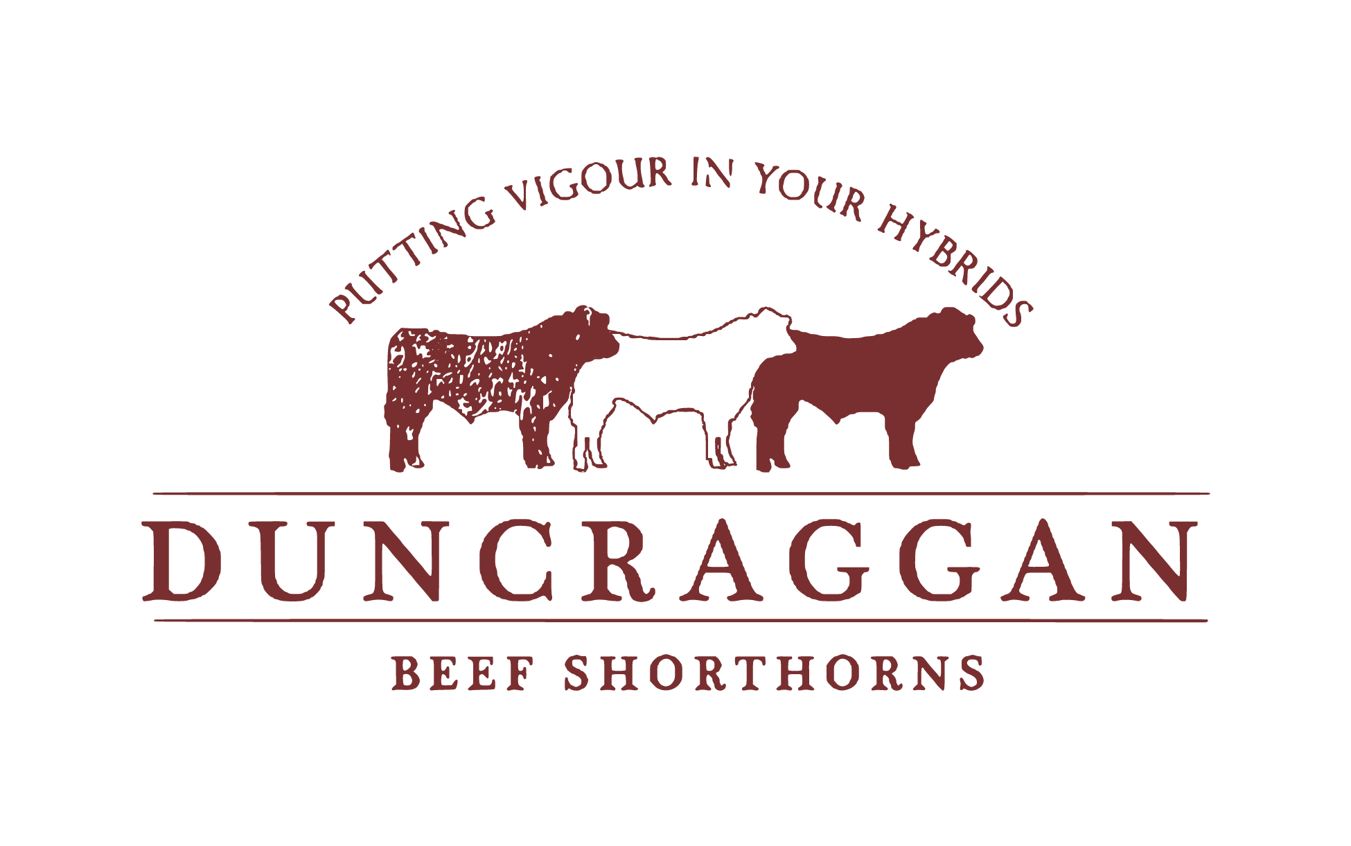 Duncraggan | Primeston | Beef Shorthorns